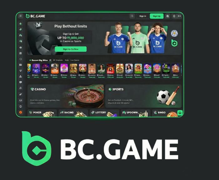 Understanding the BC.Game Login Process -428438885 Understanding the BC.Game Login Process -428438885